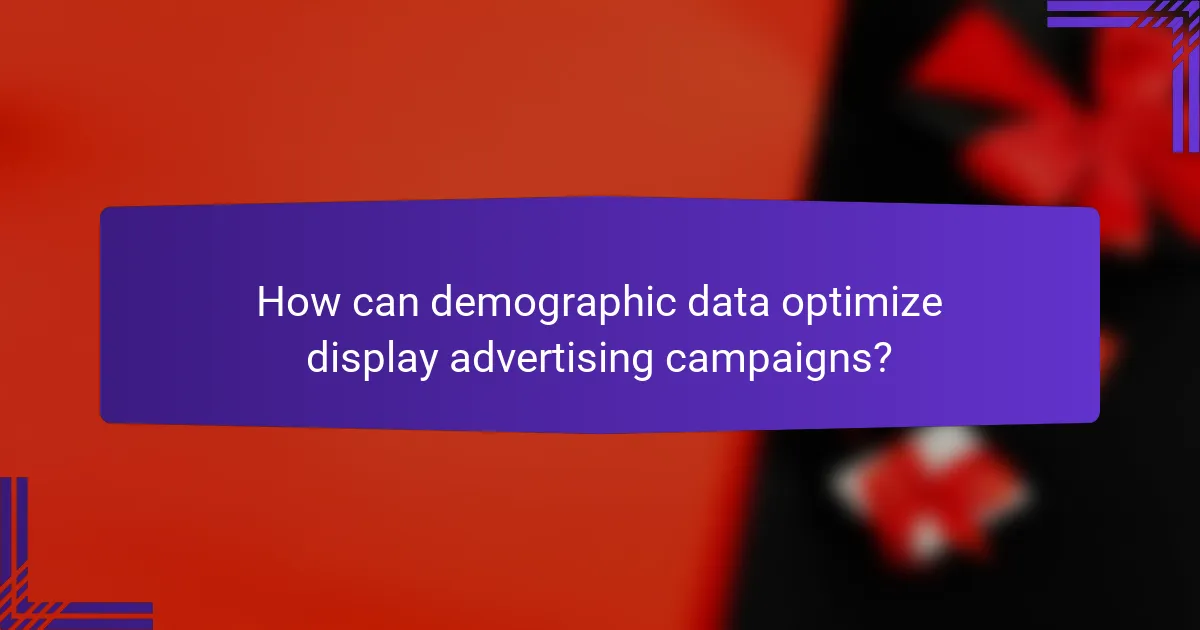 How can demographic data optimize display advertising campaigns?