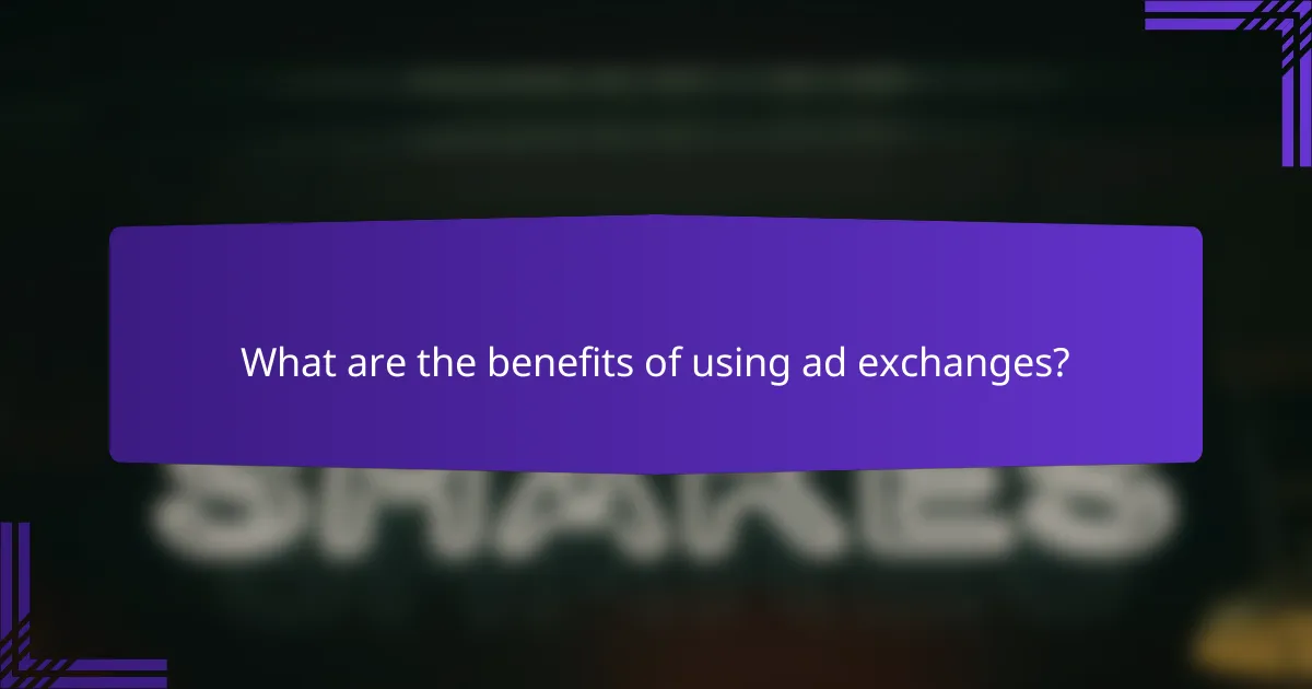 What are the benefits of using ad exchanges?