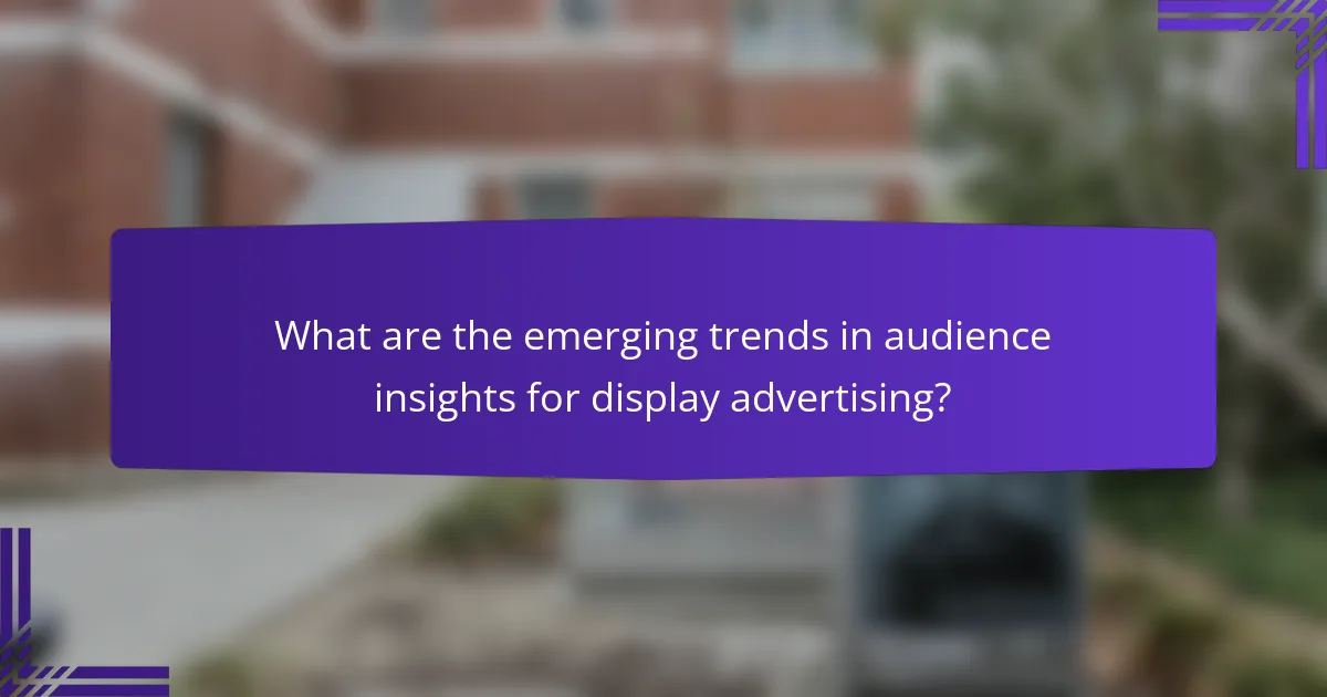 What are the emerging trends in audience insights for display advertising?