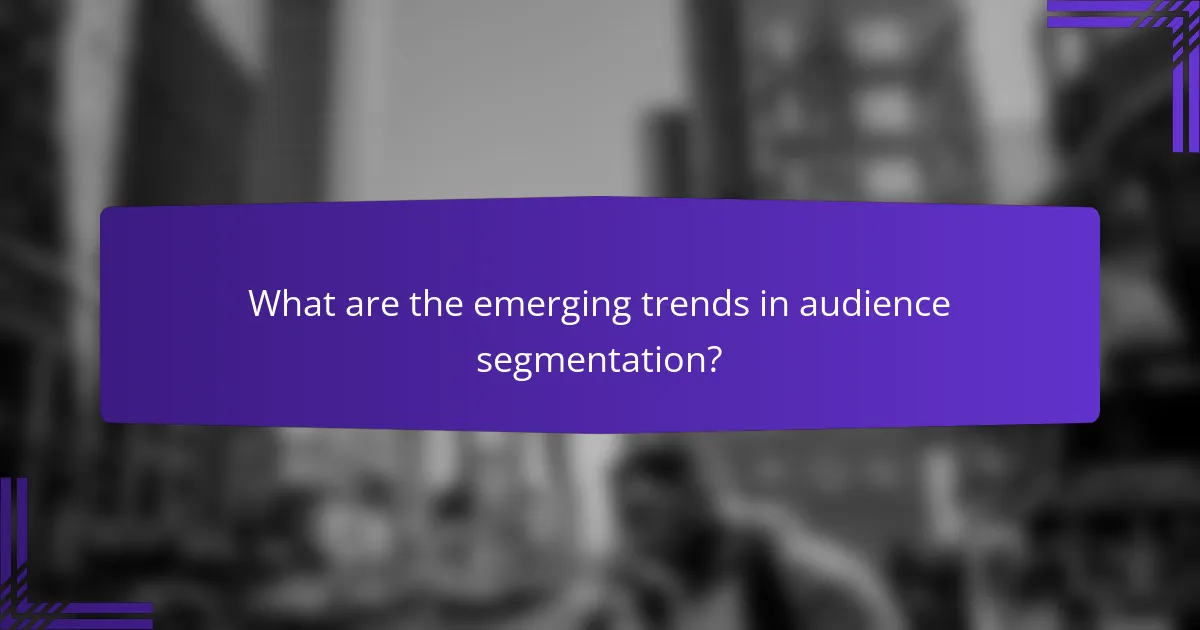 What are the emerging trends in audience segmentation?
