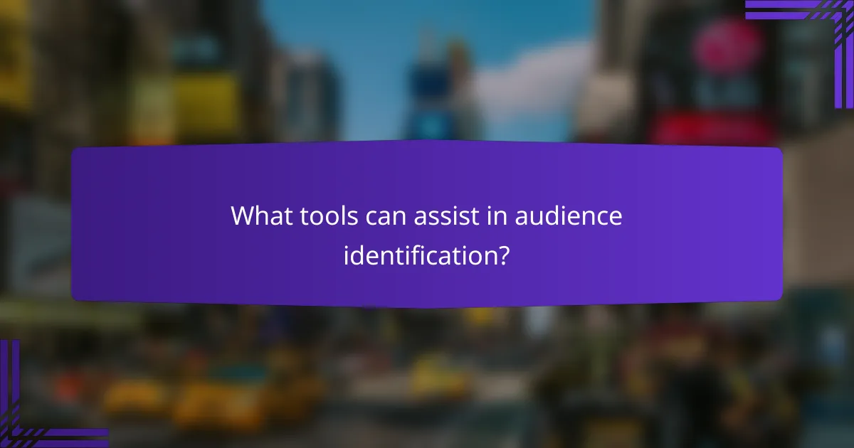 What tools can assist in audience identification?